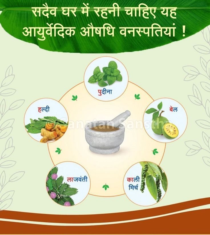 Ayurvedic